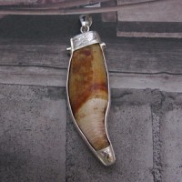 Very Old Antque RARE Bear Tooth Handmade-Hand carved 925 Sterling Silver with Genuine Red Ruby-Blue sapphire Pendant.